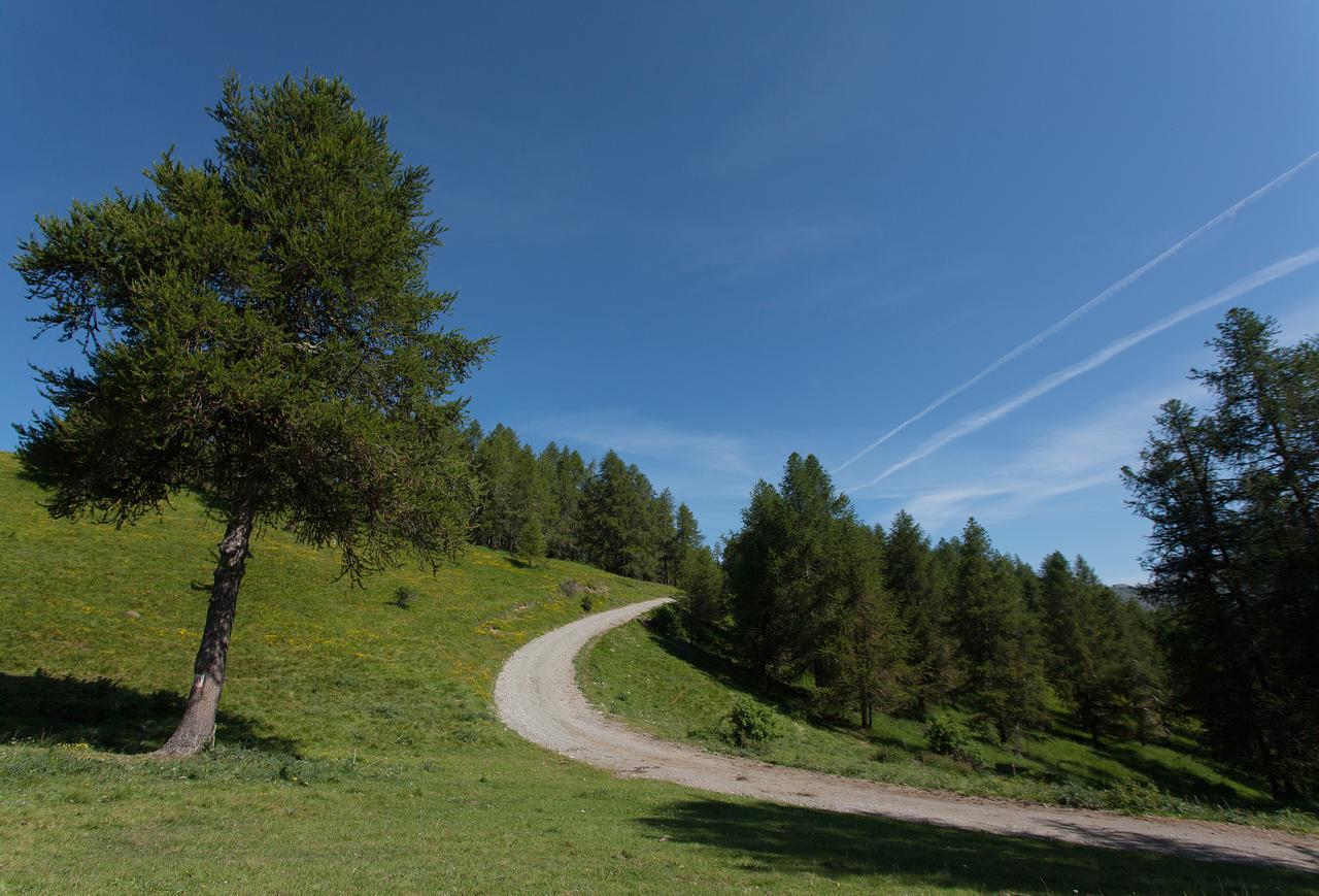 Les Hauts Des Auches Ancelle Kültér fotó